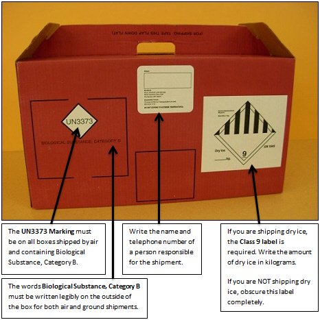 A box properly labeled for a Category B Biological Specimens